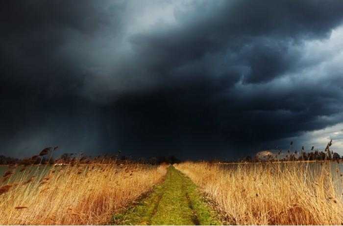 В Украине объявлено штормовое предупреждение: где ожидают бурю
