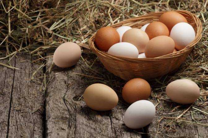 Українцям спрогнозували, чого очікувати від цін на яйця