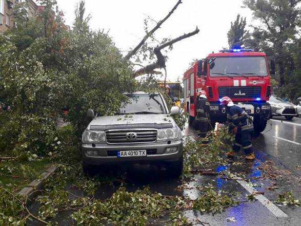 Непогода в Киеве: деревья падали на автомобили и трамвайные пути