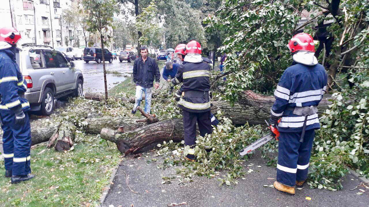 Непогода в Киеве: деревья падали на автомобили и трамвайные пути 2