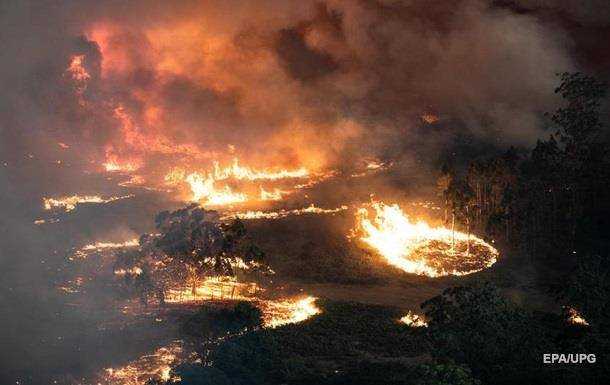Пожары в Австралии набирают обороты: готовится эвакуация