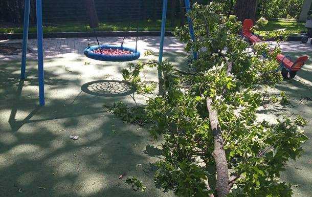 В Харькове часть дерева упала на ребенка