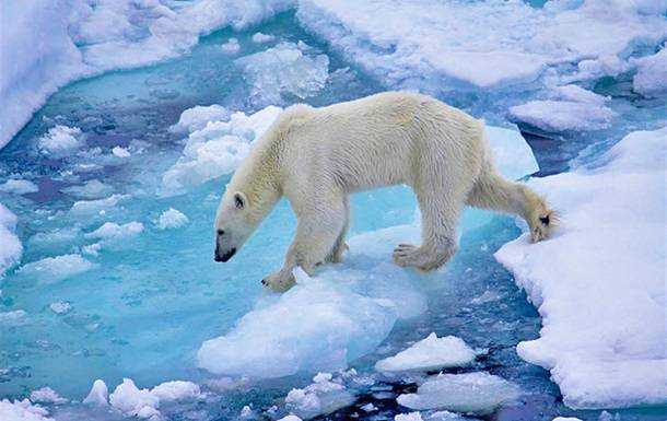 Потепление Арктики идет на 80 лет быстрее