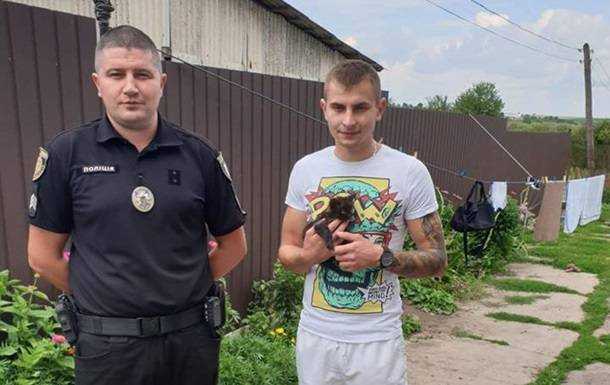На Львовщине парень "законсервировал" котенка: его задержала полиция