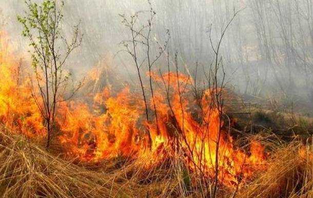 Полиция назвала четыре источника возгорания в Луганской области