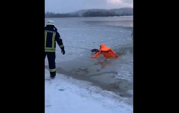 В Киеве спасли провалившегося под лед пса