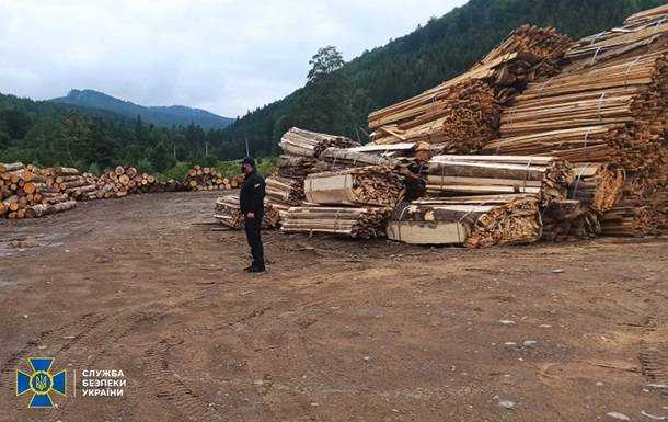 Із заповідної зони на Буковині продавали ліс на мільйони гривень