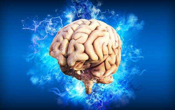 Вчені виявили в мозку центр прийняття рішень
