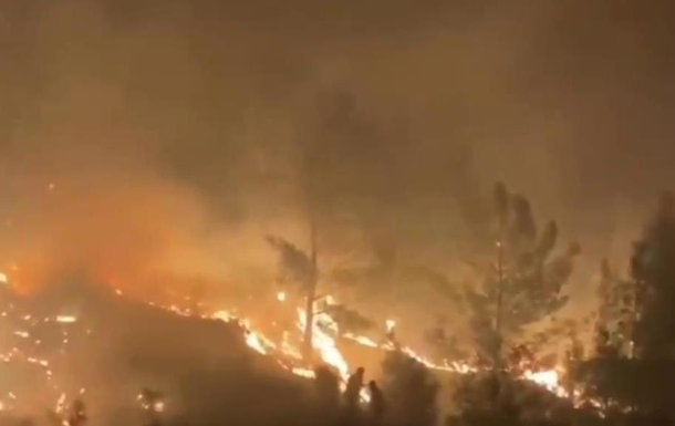 У Туреччині знову горять ліси