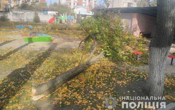 У Кременчуці двоє дітей постраждали внаслідок падіння дерева в дитсадку