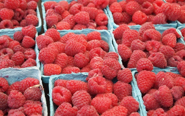 В Польше хотят запретить импорт украинских замороженных ягод