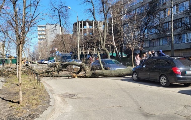 В Одессе непогода "наломала дров"