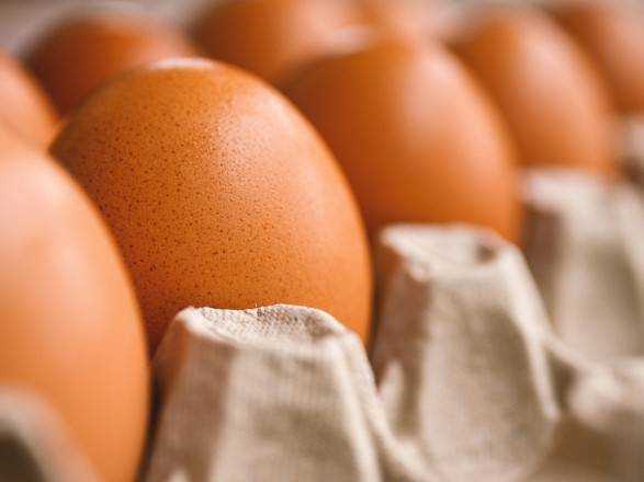 У Мінагрополітики побачили зупинку росту цін на яйця