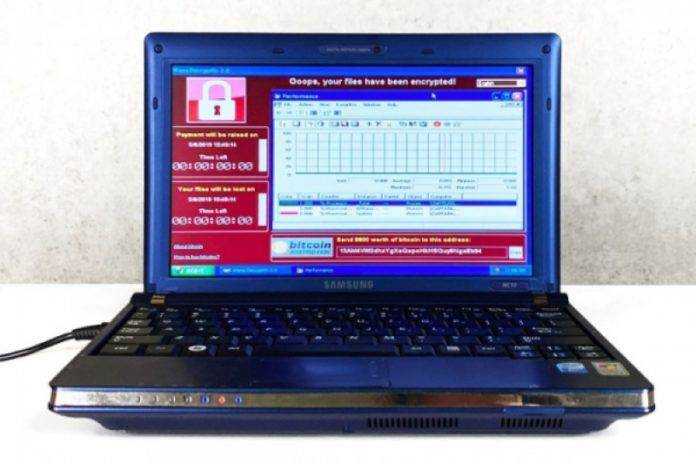«Постоянство хаоса»: в Сети показали ноутбук с самыми опасными вирусами