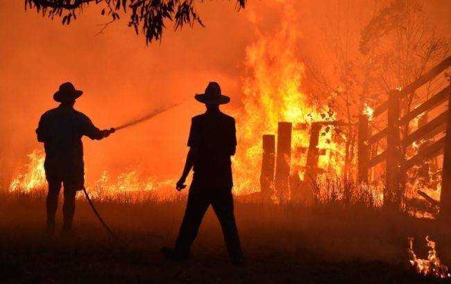 Факты о пожаре в Австралии взорвали сеть: тьма туристов