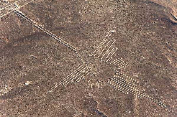Ученые разгадали тайну рисунков в пустыне Наска