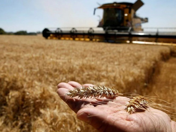Жатва-2022: украинские аграрии собрали уже около 42 млн тонн зерна
