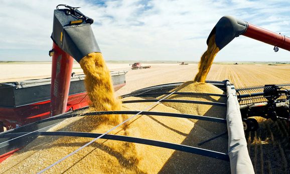 Венгрия запретила импорт украинского зерна
