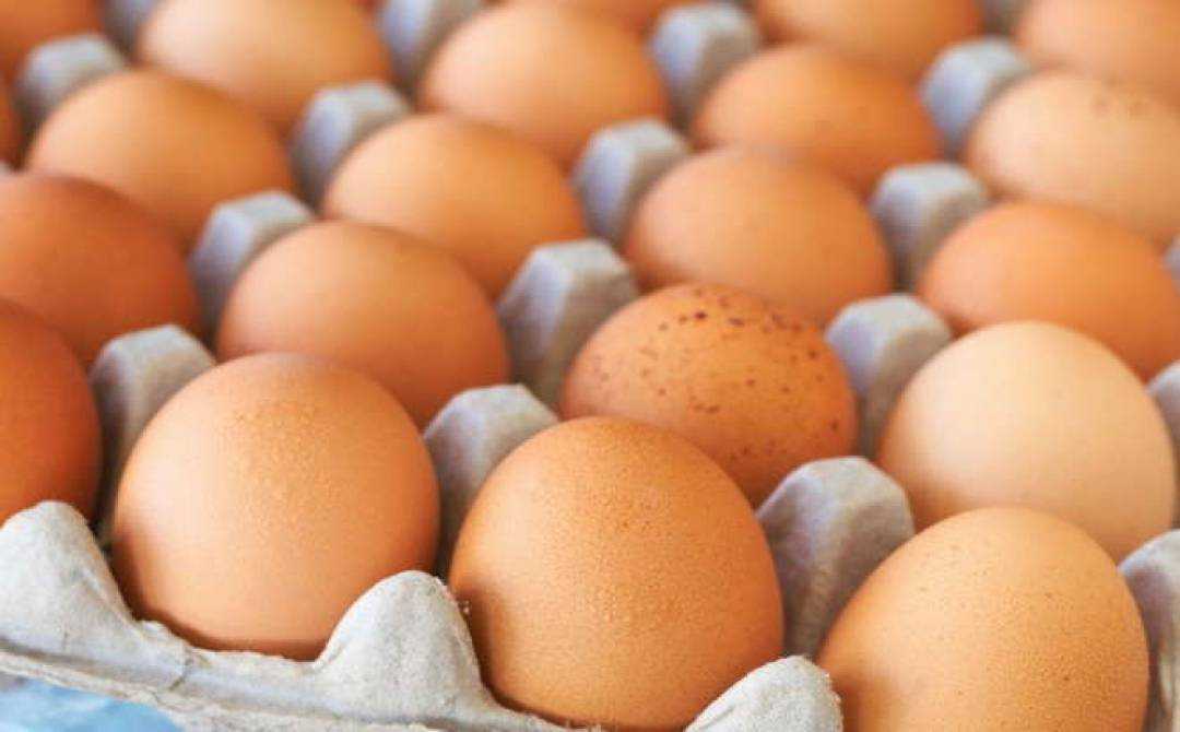 Стало відомо, як змінилися ціни на яйця в середині жовтня