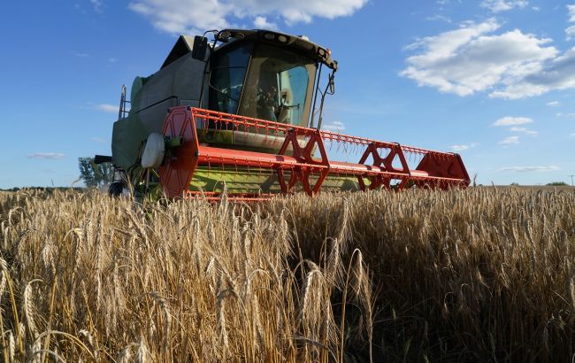 Урожай зерновых в Украине значительно сократится: в Минагрополитики назвали причины