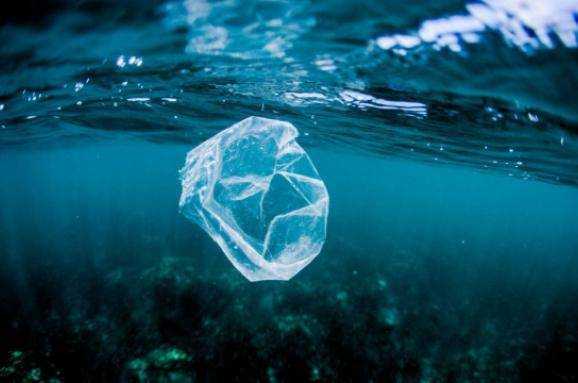 Канада откажется от одноразового пластика с 2021 года