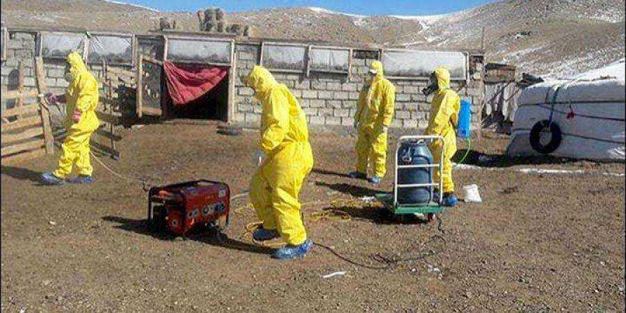 У Монголії оголосили карантин через загибель двох осіб від бубонної чуми