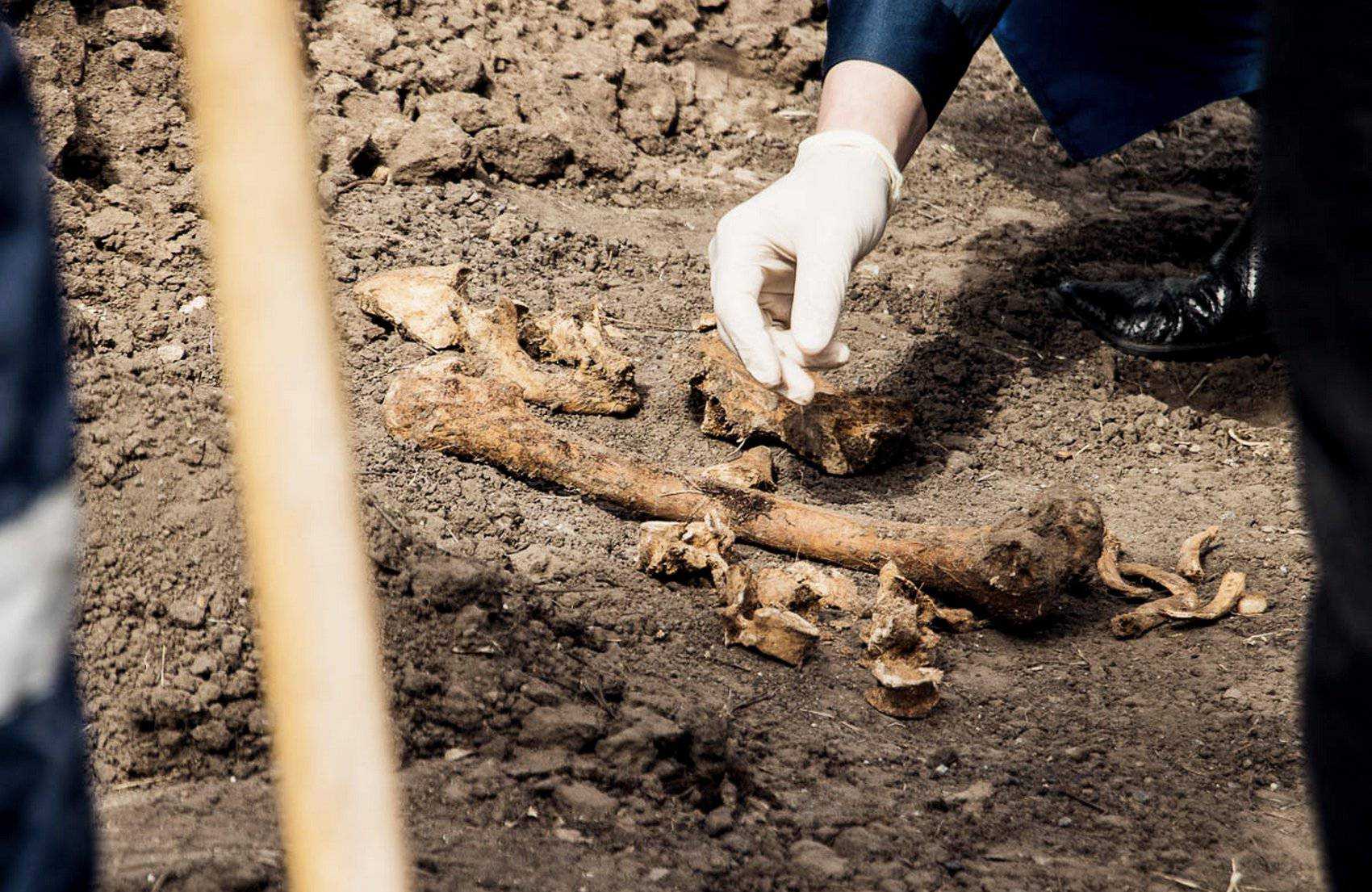 У Києві поблизу телецентру знайшли закопані людські останки
