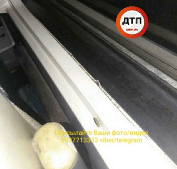 Пассажиров «Укрзализныци» возмутили тараканы в вагонах