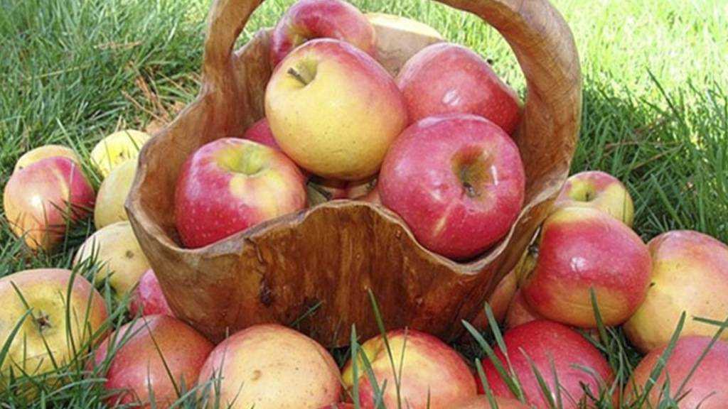 Почему нельзя есть яблоки до Яблочного спаса