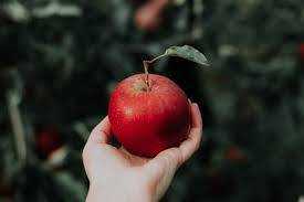 Почему так важно для здоровья съедать каждый день по два яблока