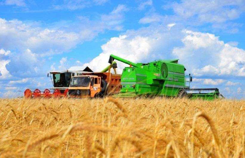 Жатва-2019: в Украине собрано 66% урожая от прогноза