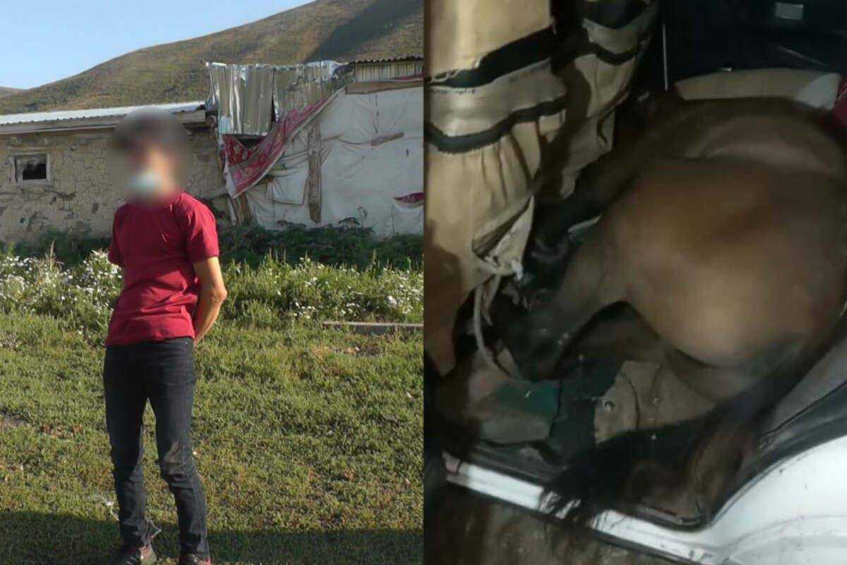 У Казахстані затримали водія з живим конем у салоні