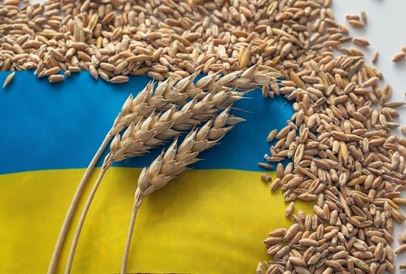 Шмыгаль: 60% нашего экспортного зерна идет транзитом через румынскую территорию