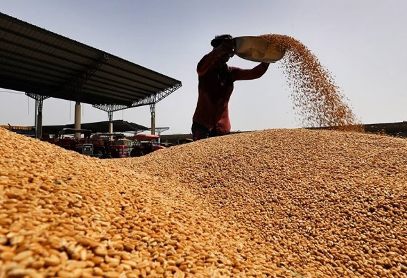 Запрет на ввоз зерна: Украина подала в ВТО иски против Польши, Словакии и Венгрии