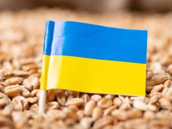 Еврокомиссия не продлила запрет на импорт украинского зерна