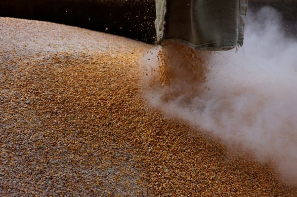 Словакия и Венгрия заявили, что продлят запрет на импорт зерна из Украины, несмотря на решение Еврокомиссии