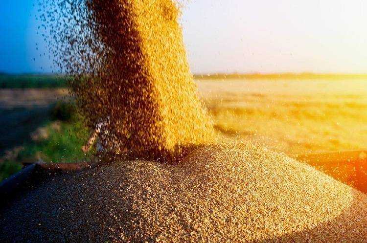 США куплять велику партію українського зерна