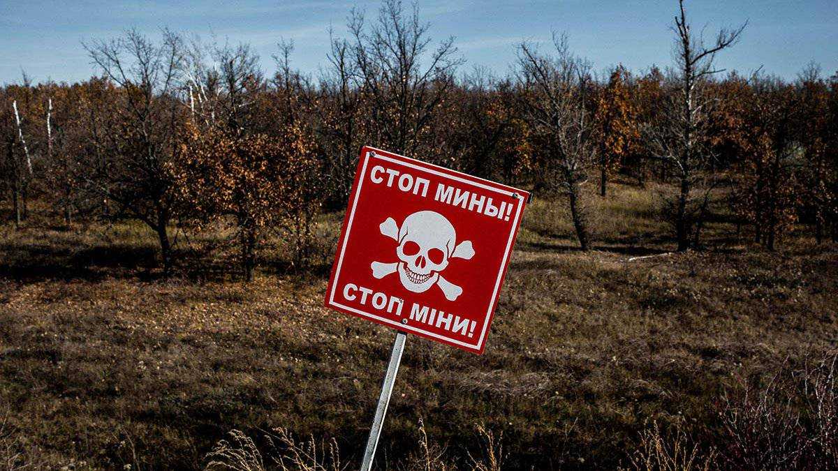 Ампутировали ногу: на Донбассе женщина с ребенком подорвались в поле