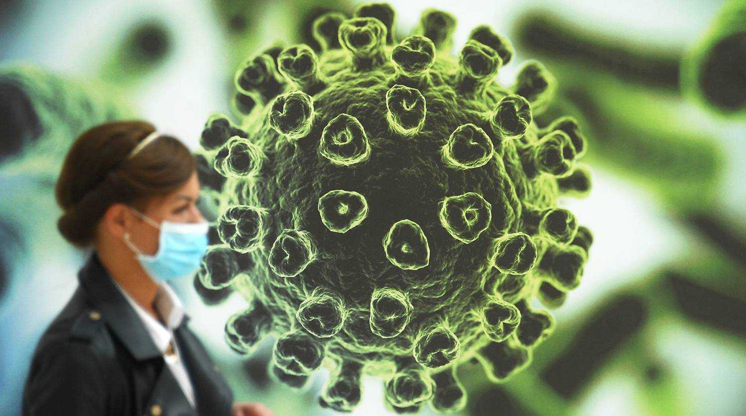 Почему коронавирус возник именно в Китае: биологи выяснили подробности