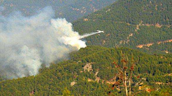 У Туреччині локалізовані 98 з 107 вогнищ лісових пожеж