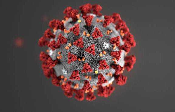 ВОЗ объяснила разницу между коронавирусом и обычным гриппом