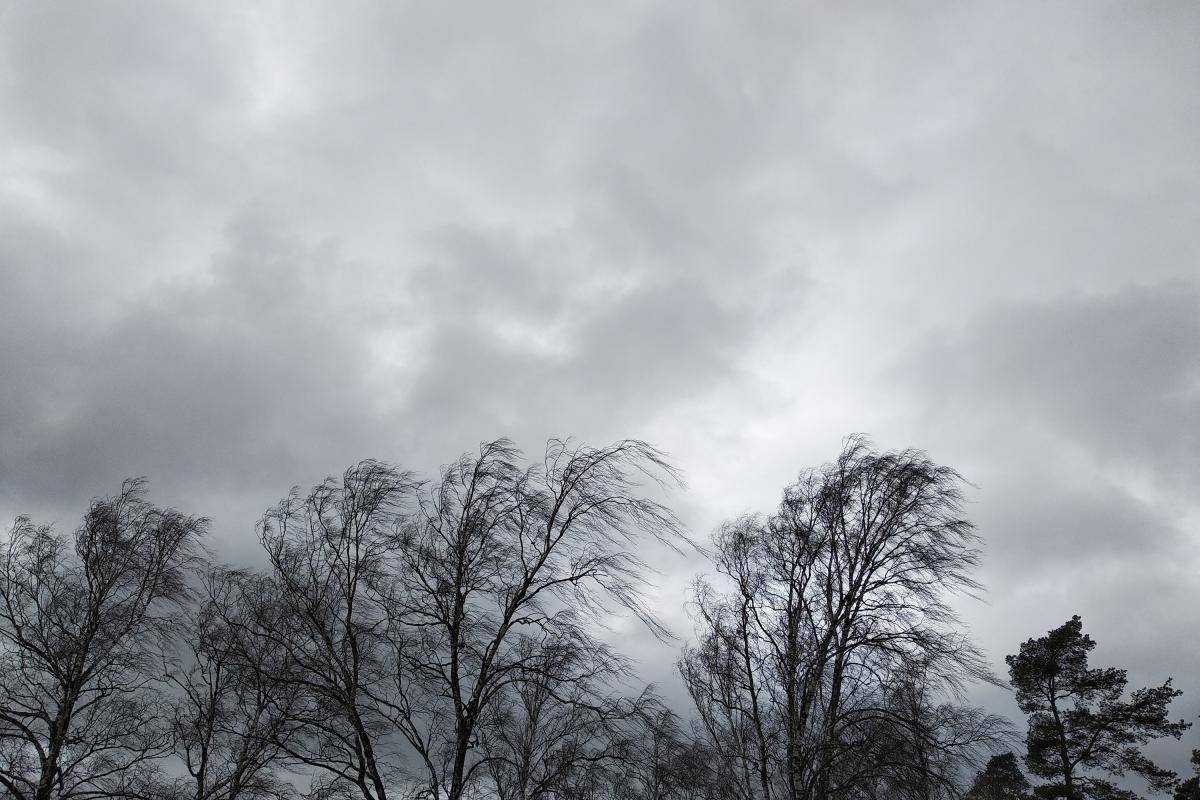 Українців попередили про сильний вітер: якою буде погода в понеділок