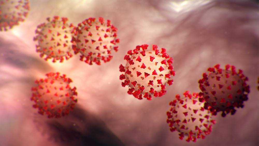 Исследователи поняли, как ведет себя коронавирус в зависимости от времени года
