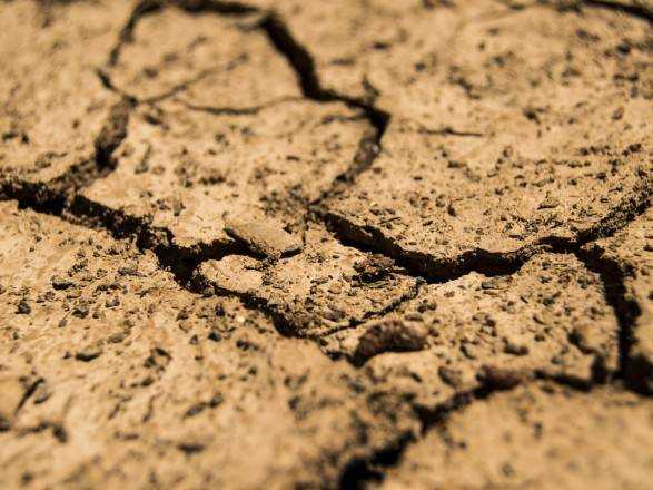 Вчені: літні посухи в Європі останніми роками набагато серйозніші за минулі два тисячоліття
