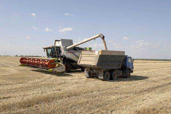 Україна розраховує зібрати 50 млн тонн зерна - Мінагрополітики