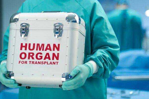 У Гончарука установили цены на пересадку органов