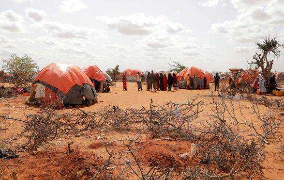 Сомалі на межі голоду через відсутність дощів та зростання цін на продукти