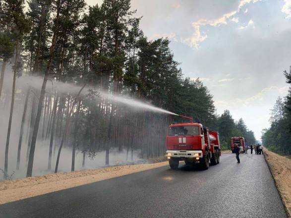 Лесные пожары в Луганской области: погибли пять человек
