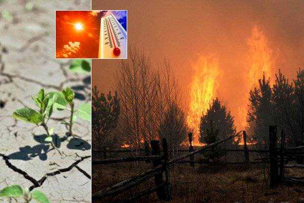 На Украину надвигаются пожары и засуха: тревожный прогноз метеорологов