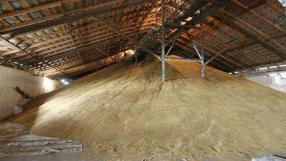 Дефіцит потужностей зберігання зерна до кінця жовтня може скласти від 10 до 15 млн тонн - Мінагрополітики